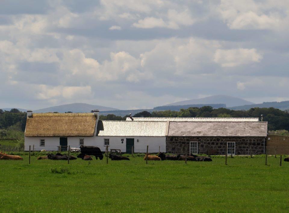 Ballymultimber Cottages Limavady Exterior photo